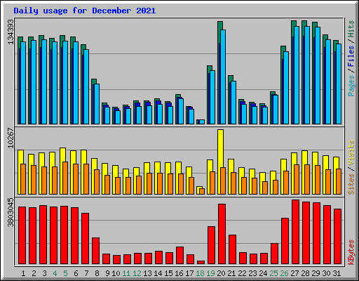 Daily usage for December 2021