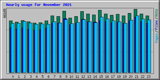 Hourly usage for November 2021