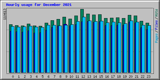 Hourly usage for December 2021